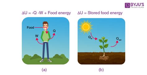 Third Law Of Thermodynamics For Kids