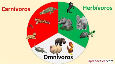 Animales carnivoros herbivoros y omnivoros para niños - YouTube