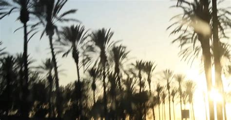 A View Of Sunset While Driving Free Stock Video Footage, Royalty-Free ...