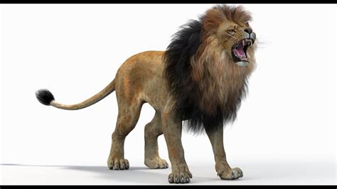 Lion 3d Model Free Download Maya