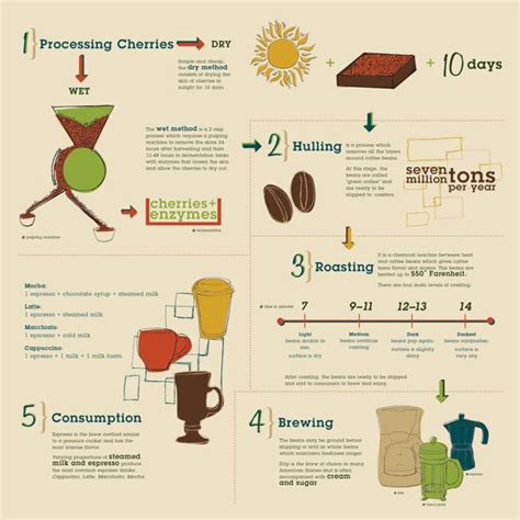 Pin by ใครไม่รู้ แต่เรารู้ on Coffee Grow Infographics | Coffee ...