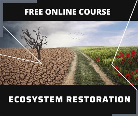 Ecosystem Restoration - Free Online Course