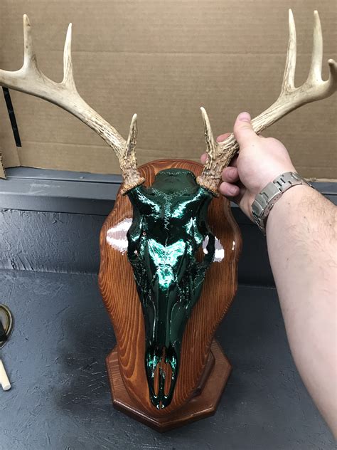 European mount deer skull spray chrome applied and colored | Deer skulls, European mounts deer ...