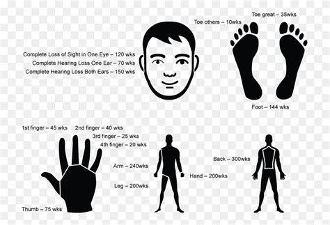 Ppd Sc Workers Compensation Body Part Value, Person, Human, Hand HD PNG Download - FlyClipart