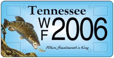 Wildlife License Plate