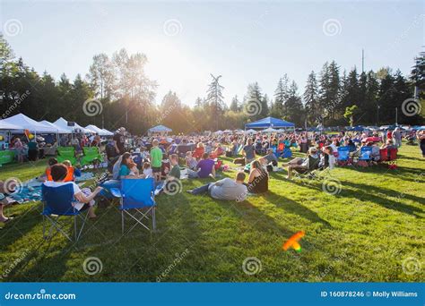 Art Booth Bonney Lake Days Music in Park Editorial Photo - Image of lake, park: 160878246