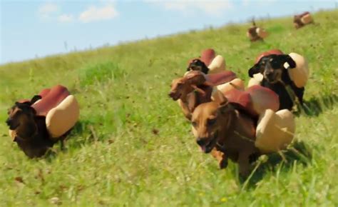 Heinz's 'Wiener Stampede' Commercial Already Won The Super Bowl