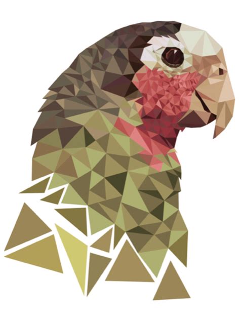 Pin på geometric animals,,art, designs