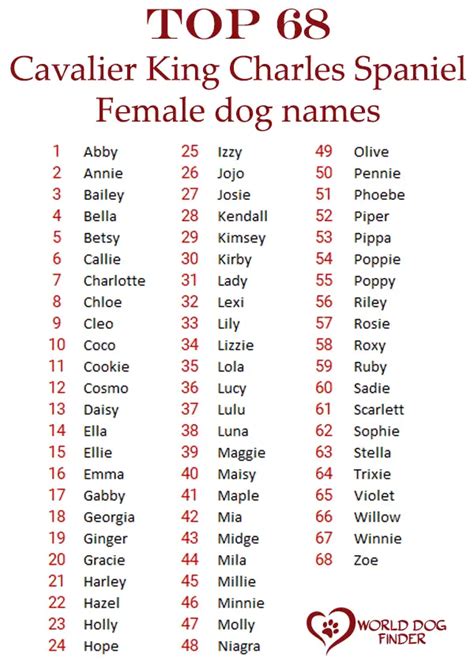 140+ Best Cavalier King Charles Spaniel Names