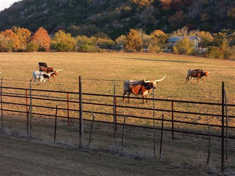 The Most Famous Ranches In Texas