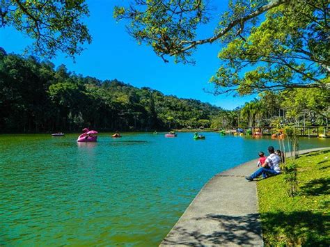 Parque Malwee - Jaraguá do Sul / #SC | Santa catarina, Lugares, Parque