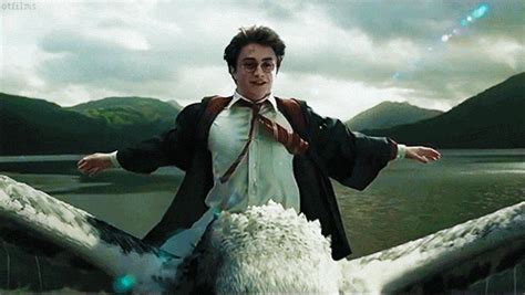 Harry Potter GIFs - Find & Share on GIPHY