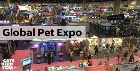 Trends at Global Pet Expo 2017 - Cats Herd You