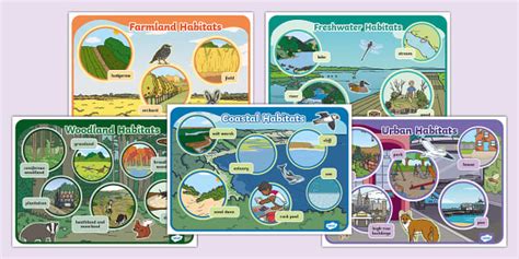 UK Animals Habitats Display Posters (teacher made) - Twinkl