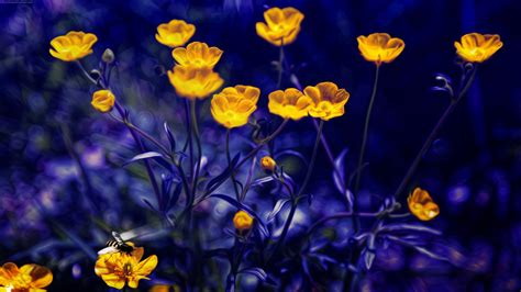 4K Yellow Flowers Wallpapers High Quality | Download Free