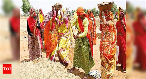 Panel to probe all NREGA works in Rajasthan village after financial fraud | Jaipur News - Times ...