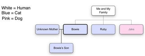 My Cat Family Tree : r/UsefulCharts