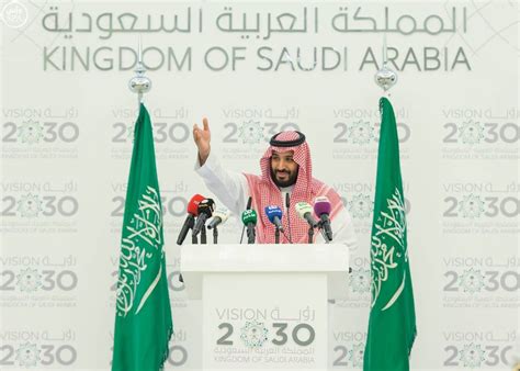 Saudi Crown Prince Vision 2030 was ‘talk of the planet’, French Senator