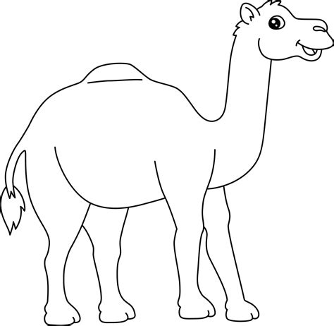 Camel Coloring Page Vector Art, Icons, and Graphics for Free Download