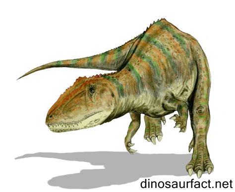 Carcharodontosaurus dinosaur