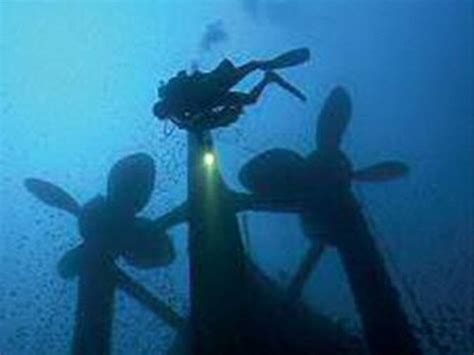 Nelson's sword hidden from looters by diver who 'discovered' it on wreck of HMS Victoria | Daily ...