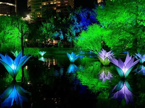 Lightscape at Brisbane Festival