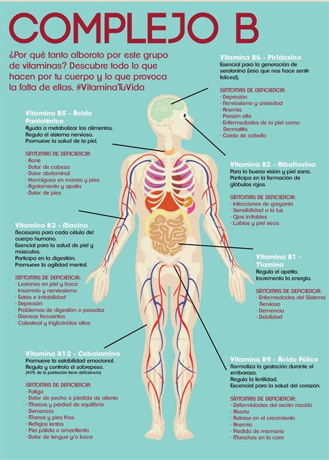 Infografia de los beneficios vitaminas Complejo B para salud | Coconut ...