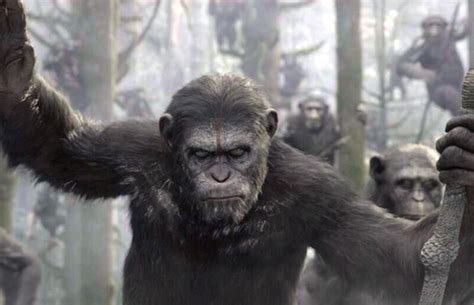 Director Matt Reeves Will Be Back to Direct Another “Planet of the Apes” Movie | Complex