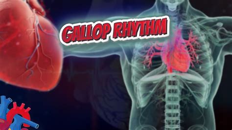 Gallop rhythm - Human Heart ️ and Cardiology ️🔊 - YouTube