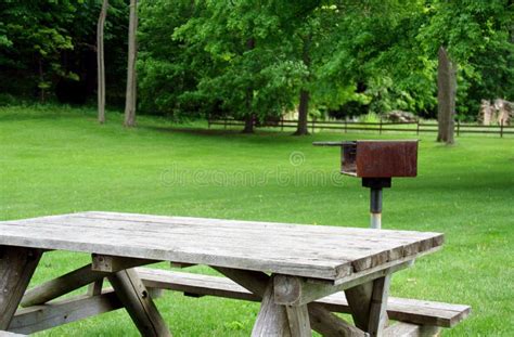 Picnic Table And Grill In Park Stock Image - Image of grass, trees: 5678021