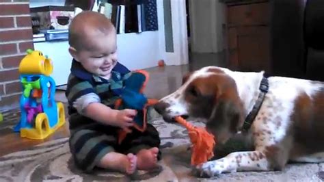 Baby laughing at dog - YouTube