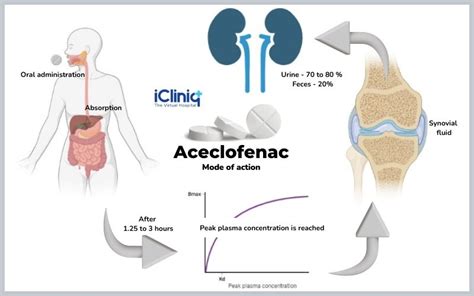 What Are the Uses of Aceclofenac?