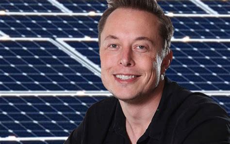 Elon Musk buys solar company to build large-scale panel factories | The ...