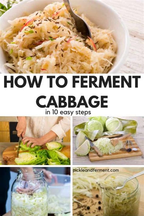 How to Ferment Cabbage for Maximum Probiotics in 10 Easy Steps – Pickle & Ferment