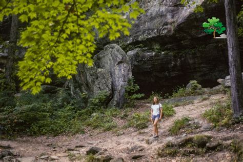 Shawnee National Forest, Illinois (Wildlife, Camping, And Trails)