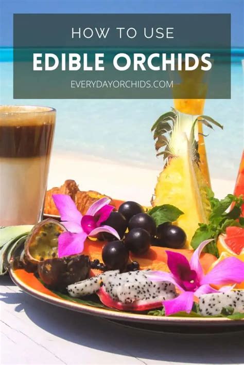 Are Orchids Edible? Fun Facts And How To Use Them - Everyday Orchids