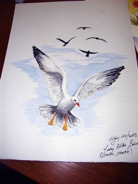 seagull | Watercolor bird, Bird art, Bird drawings