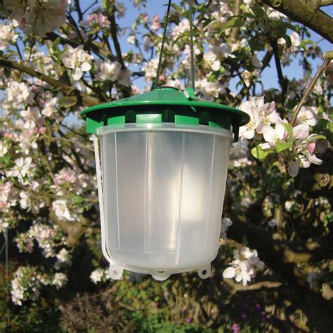 Codling Moth Trap - Harrod Horticultural