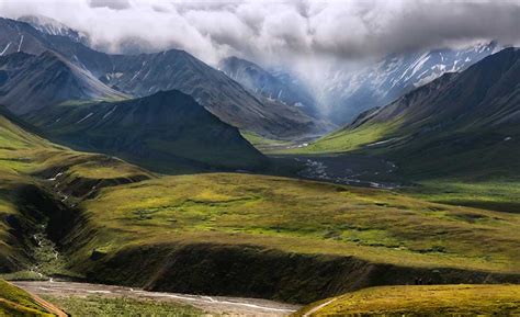 Alpine Tundra Species Richness (U.S. National Park Service)