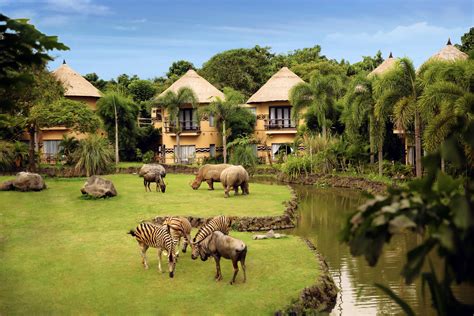 Sensasi Menginap Sambil Mendengar Auman Singa di Mara River Safari ...