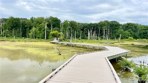 Huntley Meadows Park: A Wetlands Walk in Alexandria