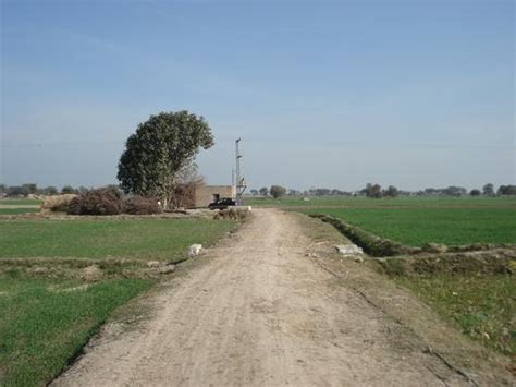 Bahawalnagar District – attractive field view 4 – Paki Mag