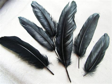 Image result for ravens feather | Raven feather, Black bird tattoo ...