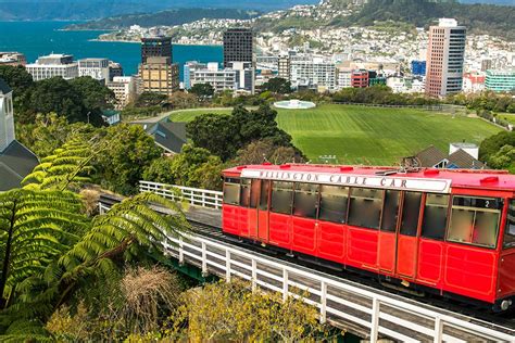 14 Top Activities in Wellington (2020) with Reviews