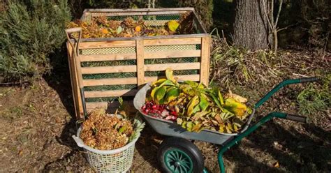 Do You Need A Compost Starter (we find out) - humblegardenlife.com