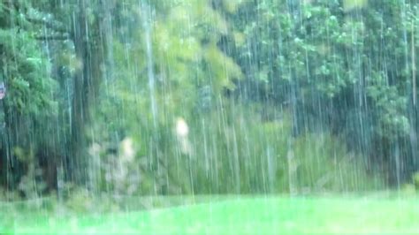 1 HOUR Peaceful Rain Sounds For Meditation | Peaceful Rain Sleep | Peaceful Positive Energy Rain ...