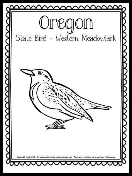 Oregon State Bird (Western Meadowlark) Coloring Page {FREE Printable ...