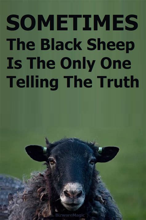 8+ Black Sheep Quotes And Sayings For You