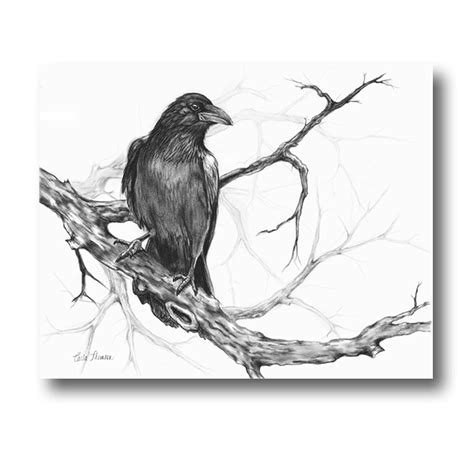 Charcoal Drawing Raven on Tree Branch, Black White Original Pencil ...