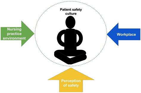 IJERPH | Free Full-Text | Association between the Nursing Practice Environment and Safety ...